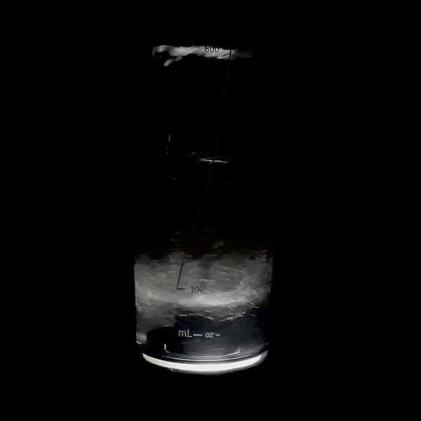 FITVORTEX™ | Black Edition